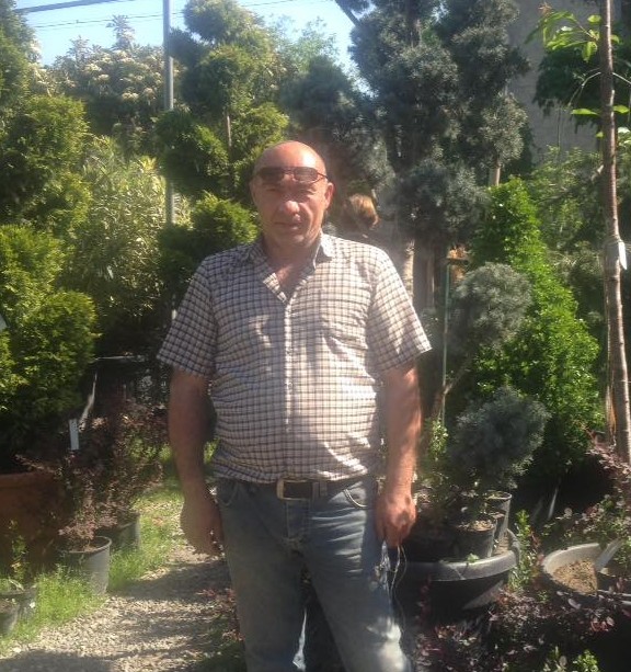 კობა გელიაშვილი