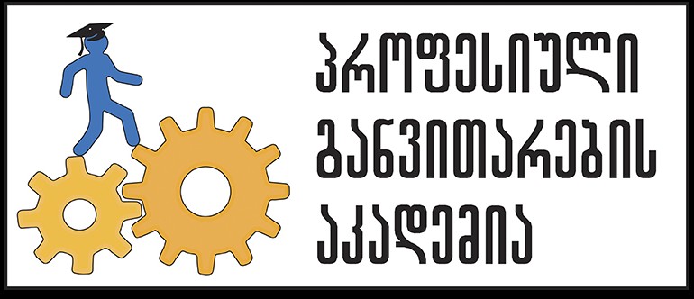 პროფესიული განვითარების აკადემია